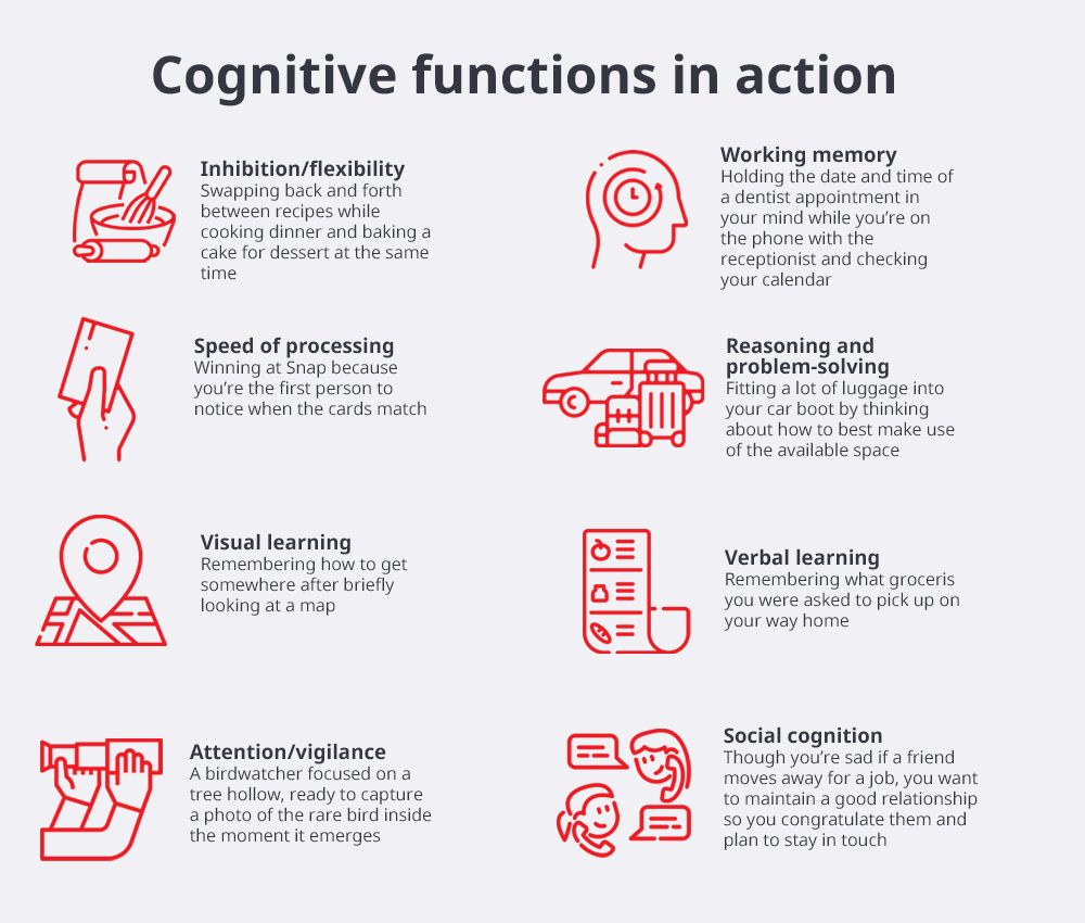 Cognitive function